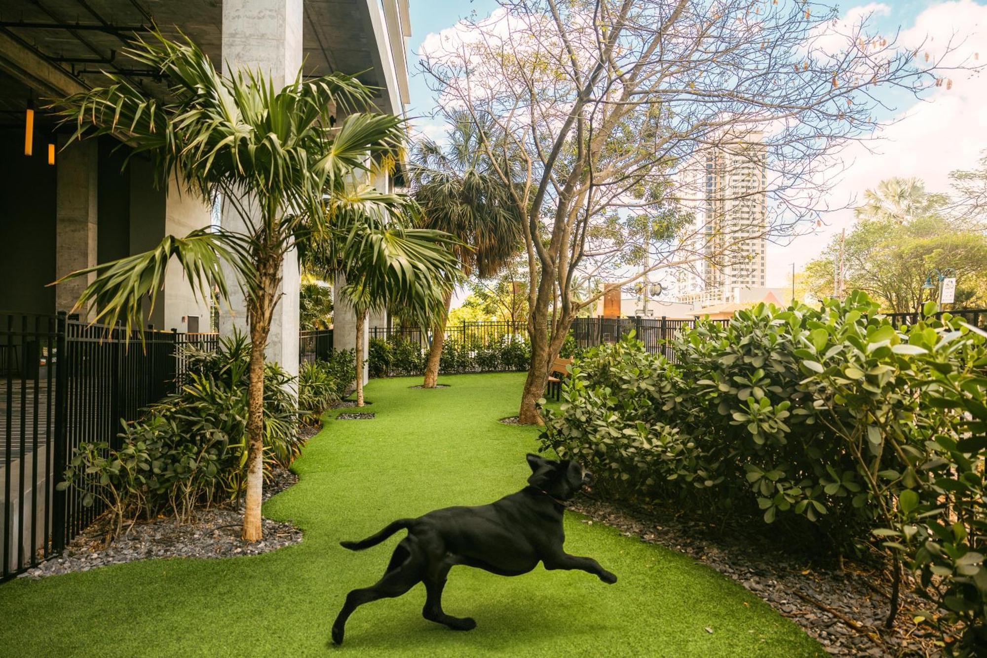 Flow Fort Lauderdale Hotel Екстер'єр фото